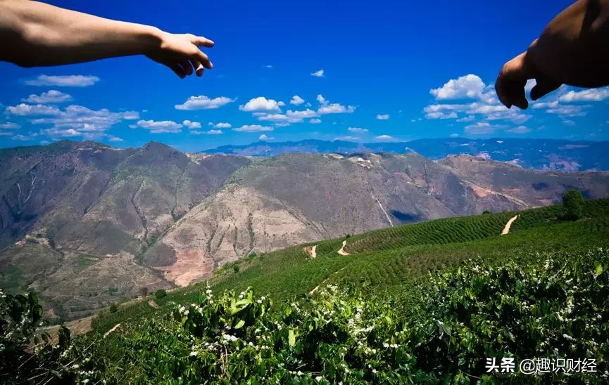 拼多多农产品模式,拼多多一站式产业助农新路径