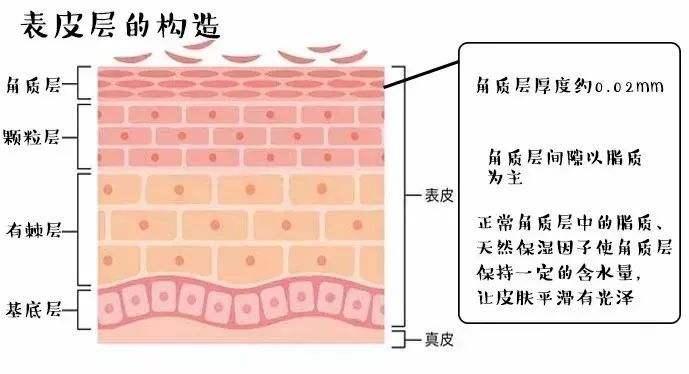 白醋盐洗脸的正确美白方法,白醋洗脸的正确方法美白