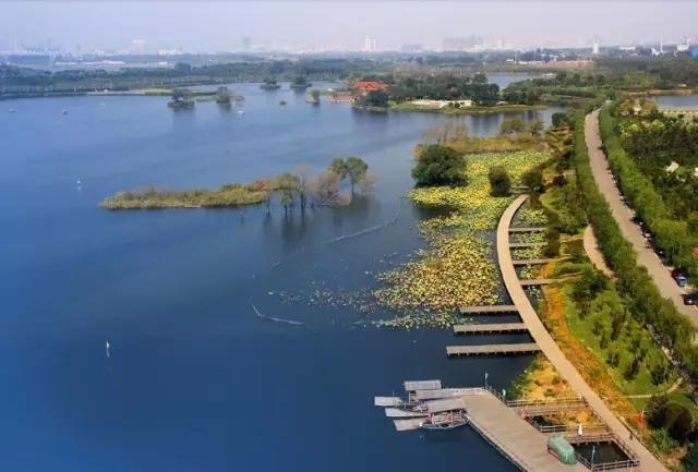 矿坑改造最美公园,矿坑改造湿地公园视频