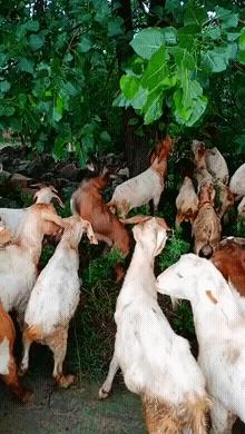 不联系的同学借钱怎么高情商回复,怎么回复借钱的同学