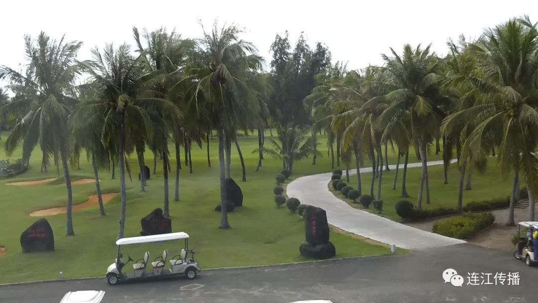 那个叫豆豆的“天使”走了