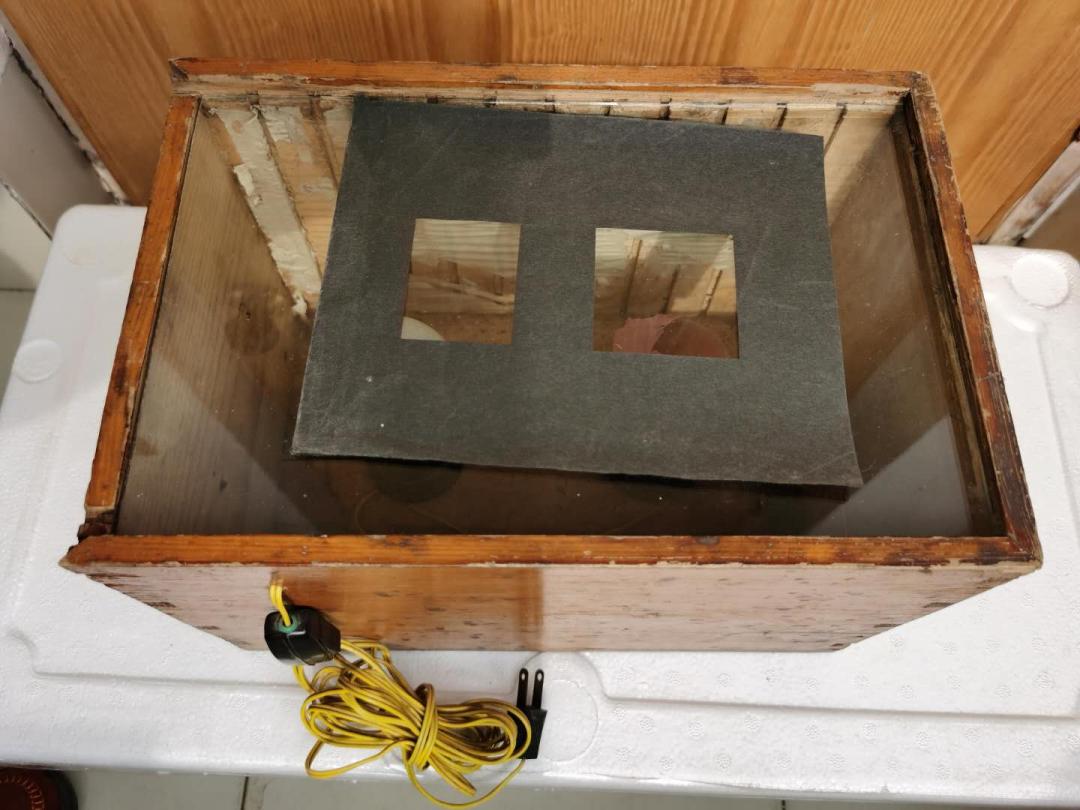 童年时光的摄影,拾贝图虫摄影作品