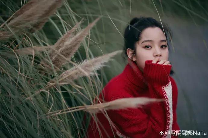 张钧甯戚薇,戚薇张钧甯