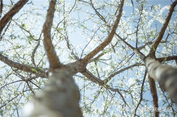 现在用手机赚钱又快又简单,靠谱的手机赚钱