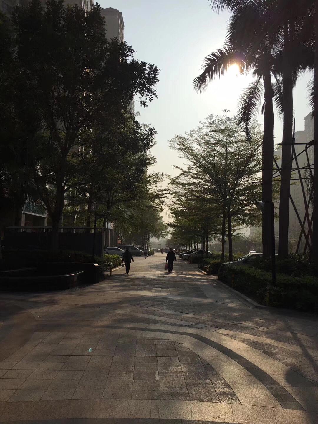 不失眠但多梦睡眠质量差怎么办,失眠多梦耳鸣睡眠浅怎么治疗