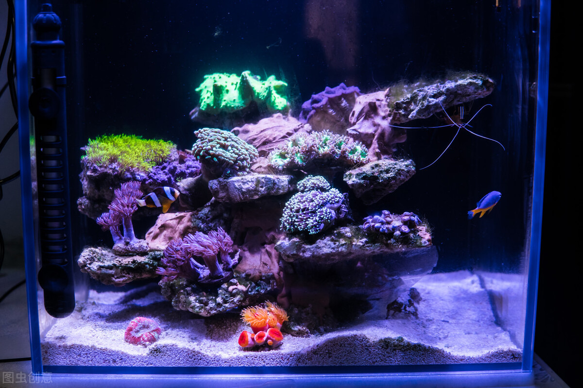 玩海水缸费钱吗,玩海水用什么鱼缸
