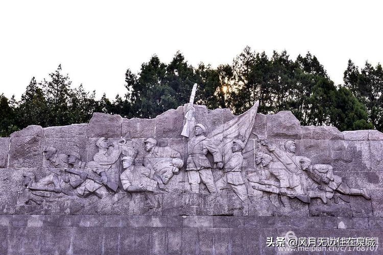 济南的法国梧桐,济南梧桐树美景