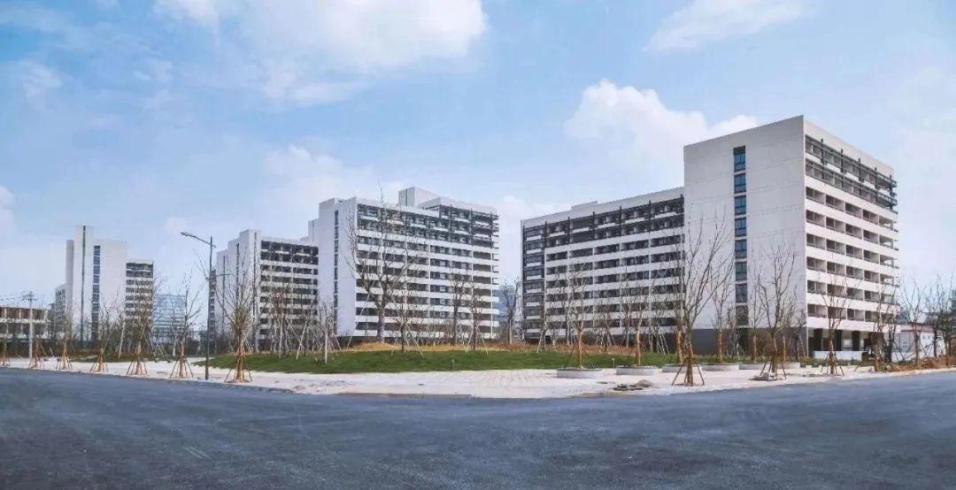 杭州师范大学考研调剂的复试时间,杭州师范大学研究生调剂复试时间