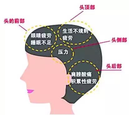 做头皮护理的十大好处,头皮理疗和护理