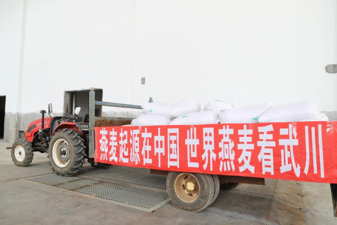 第三届中国农民丰收节汝南,益阳市第三届中国农民丰收节举行