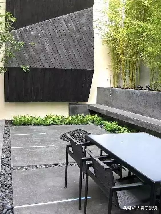 吉利辟邪的植物盆栽有哪些,可辟邪的盆栽树种有哪些