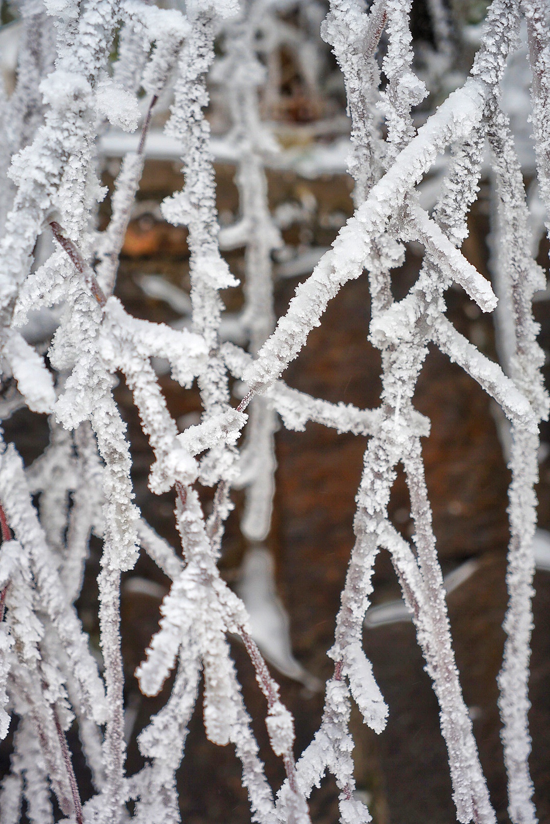 张家界雪季攻略,冬天湖南张家界攻略