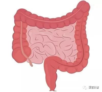没拉出大便但有血是怎么回事,拉出的大便带血怎么回事