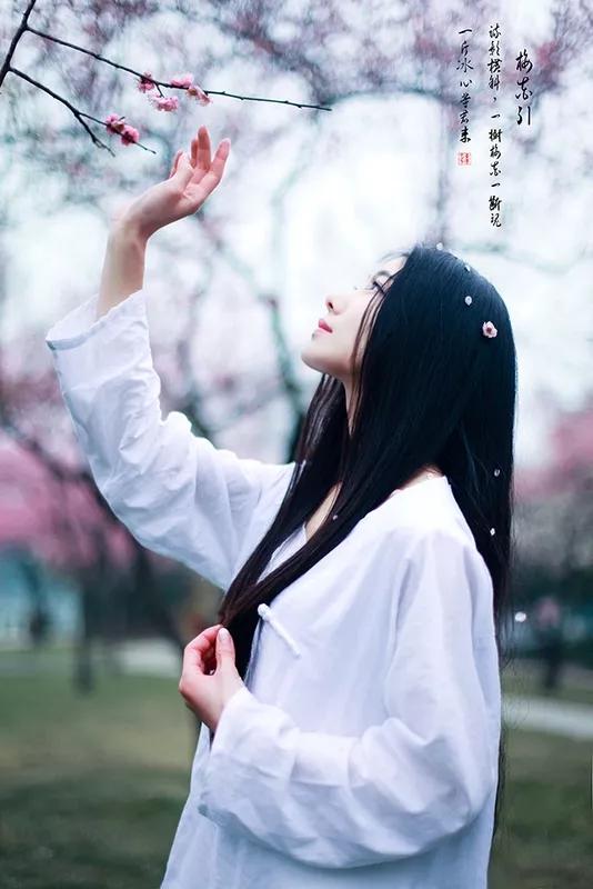 梦里花落知多少24集,梦里花落知多少