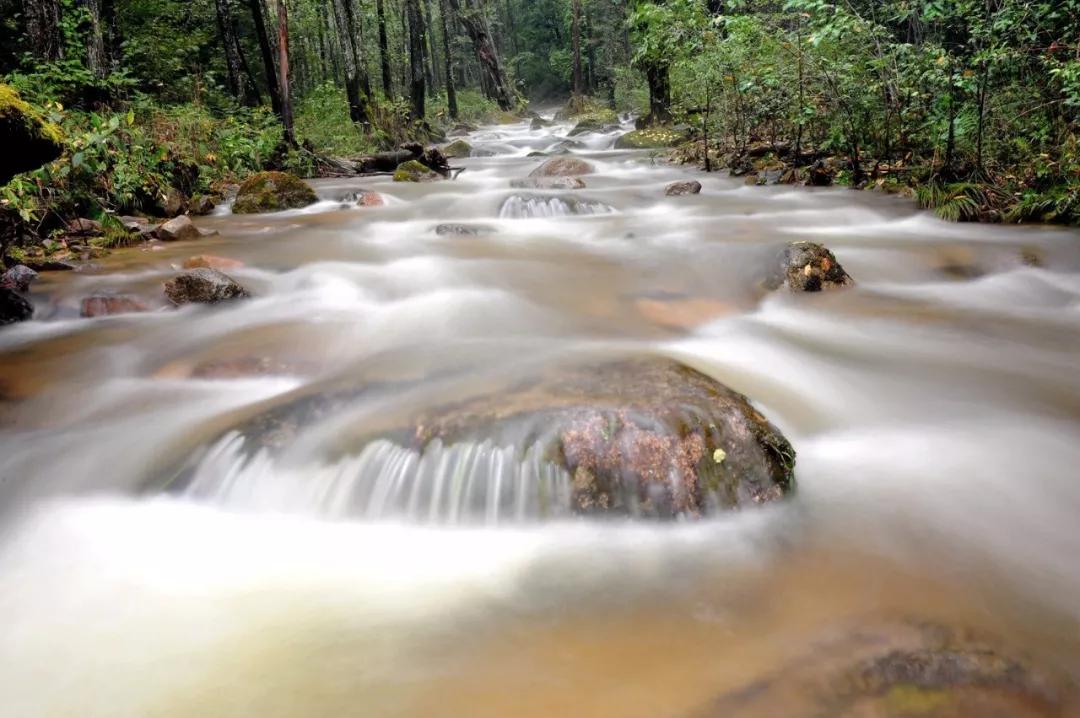 关于描写长江的诗句古诗大全,20首诗词带您领略中华最美长江