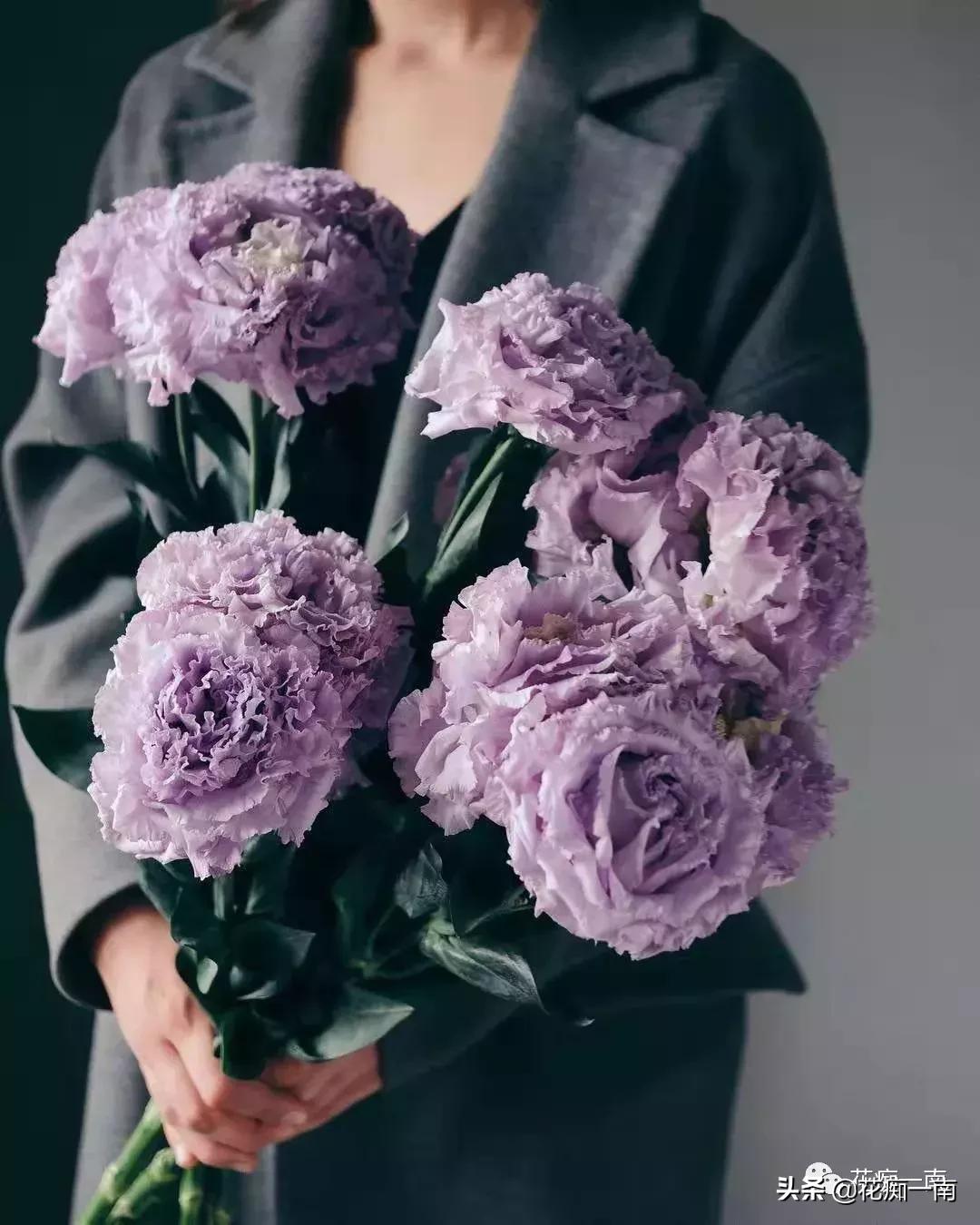 教师节应该送老师什么花用纸叠,教师节送花送什么花图片