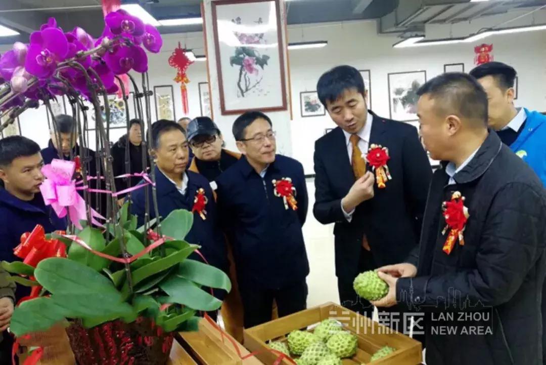 涓嶇敤鍐嶈緵鑻︽壘娴峰浠ｈ喘,涓嶇敤鍐嶈緵鑻︽壘浠ｈ喘