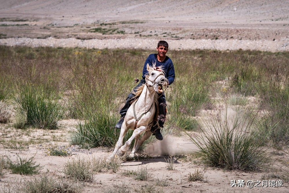 铁血雄鹰全剧,铁血雄鹰全文阅读