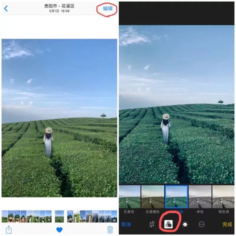 iphone手机拍照操作指南,iphone实况拍照有什么用