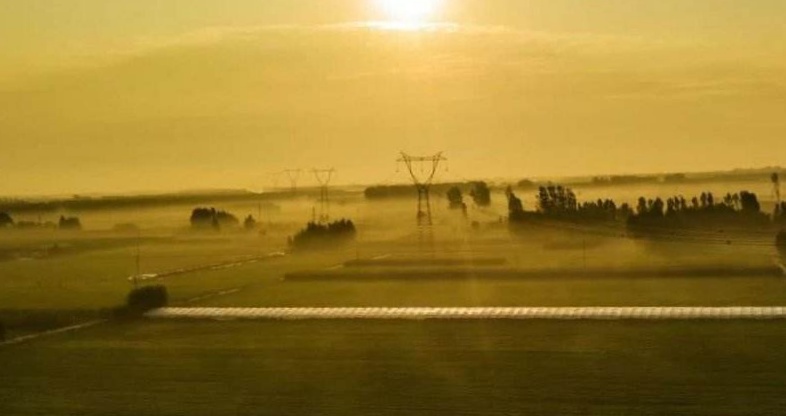 内黄到辣椒大县,内黄从红枣之乡到辣椒大县