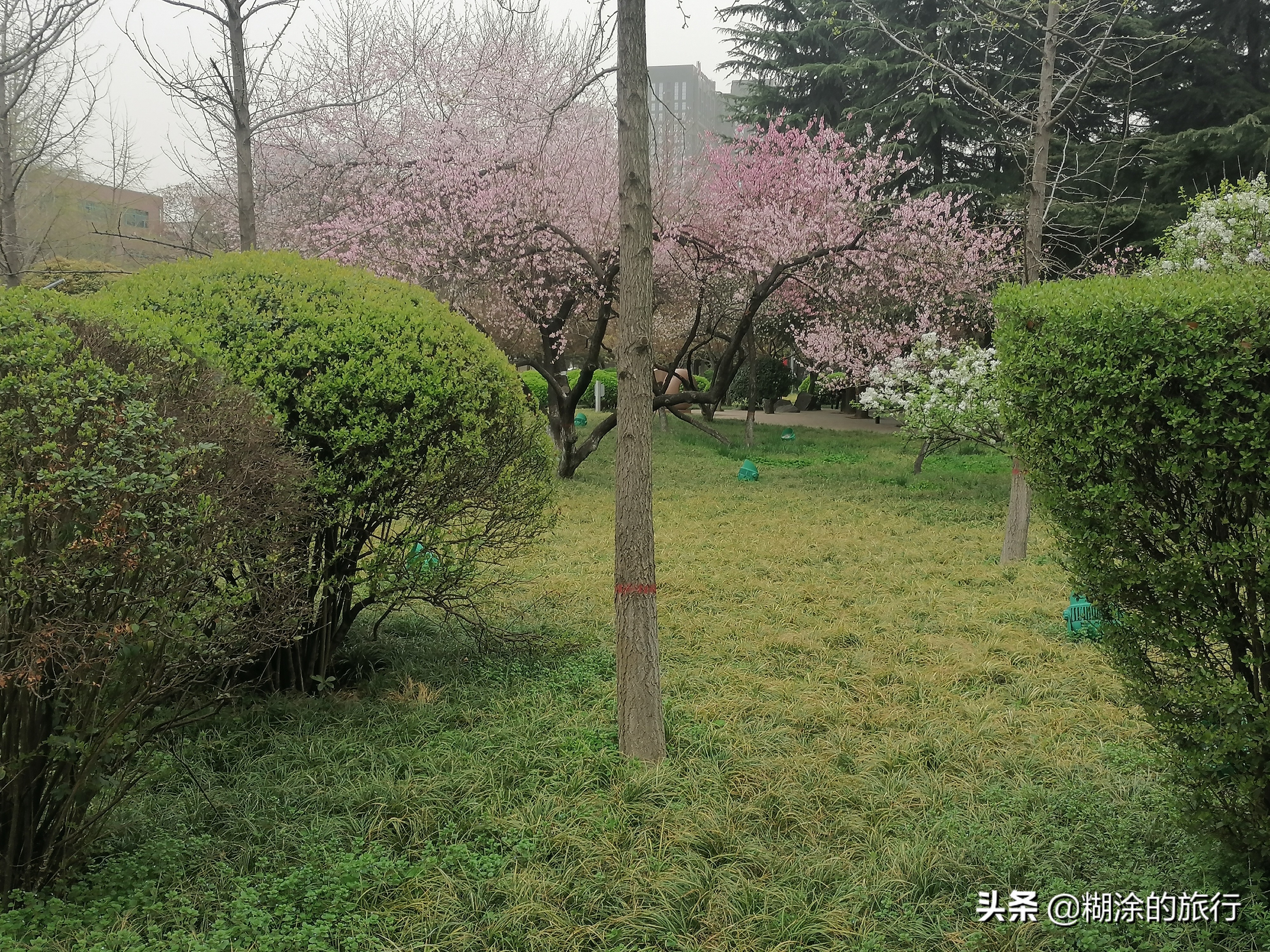 西安高新区公园推荐,西安的高新区在什么地方