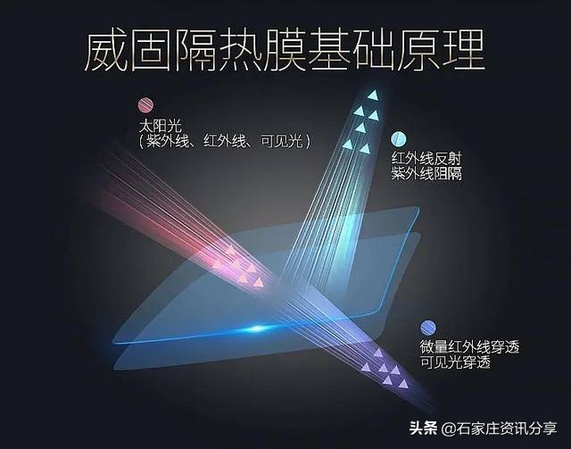 龙膜和威固哪个更好,龙膜和威固哪个性价比高