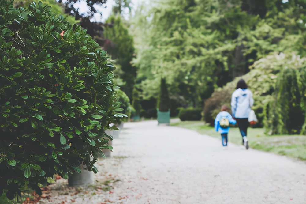 班上的同学总是跟我对着干,班上有人和班长对着干
