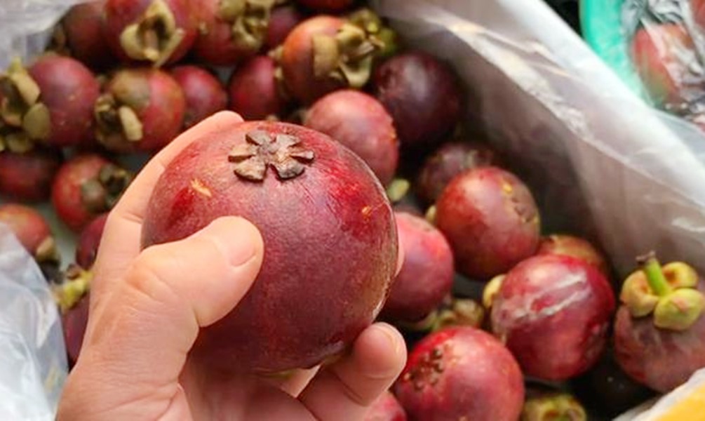 山竹里面的黄浆能吃吗,山竹果浆能吃吗