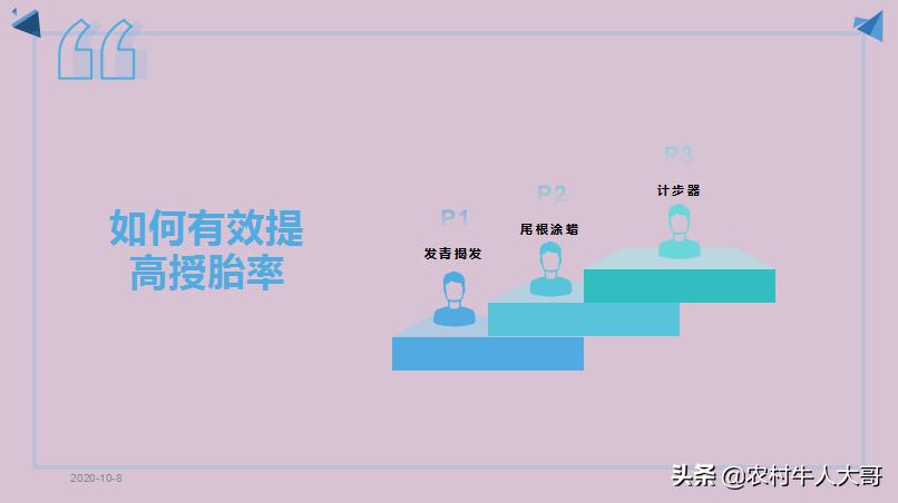 奶牛产后子宫净化保健实施方案ppT课件