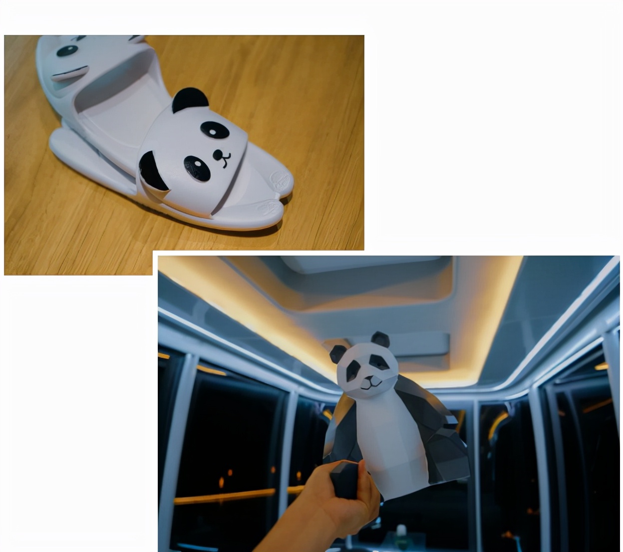 彭州太空舱营地,成都熊猫森林太空舱民宿