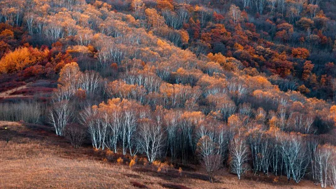北京风景游玩区,北京郊区最美景点旅游攻略