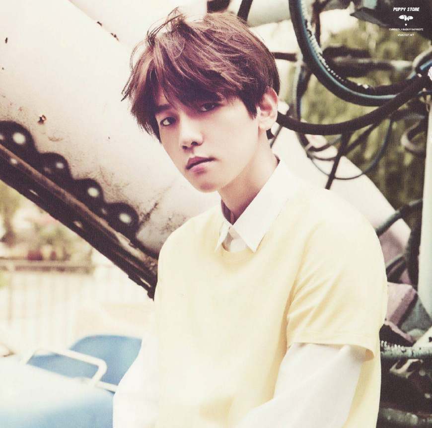 faker被调侃,fakerlck迷弟