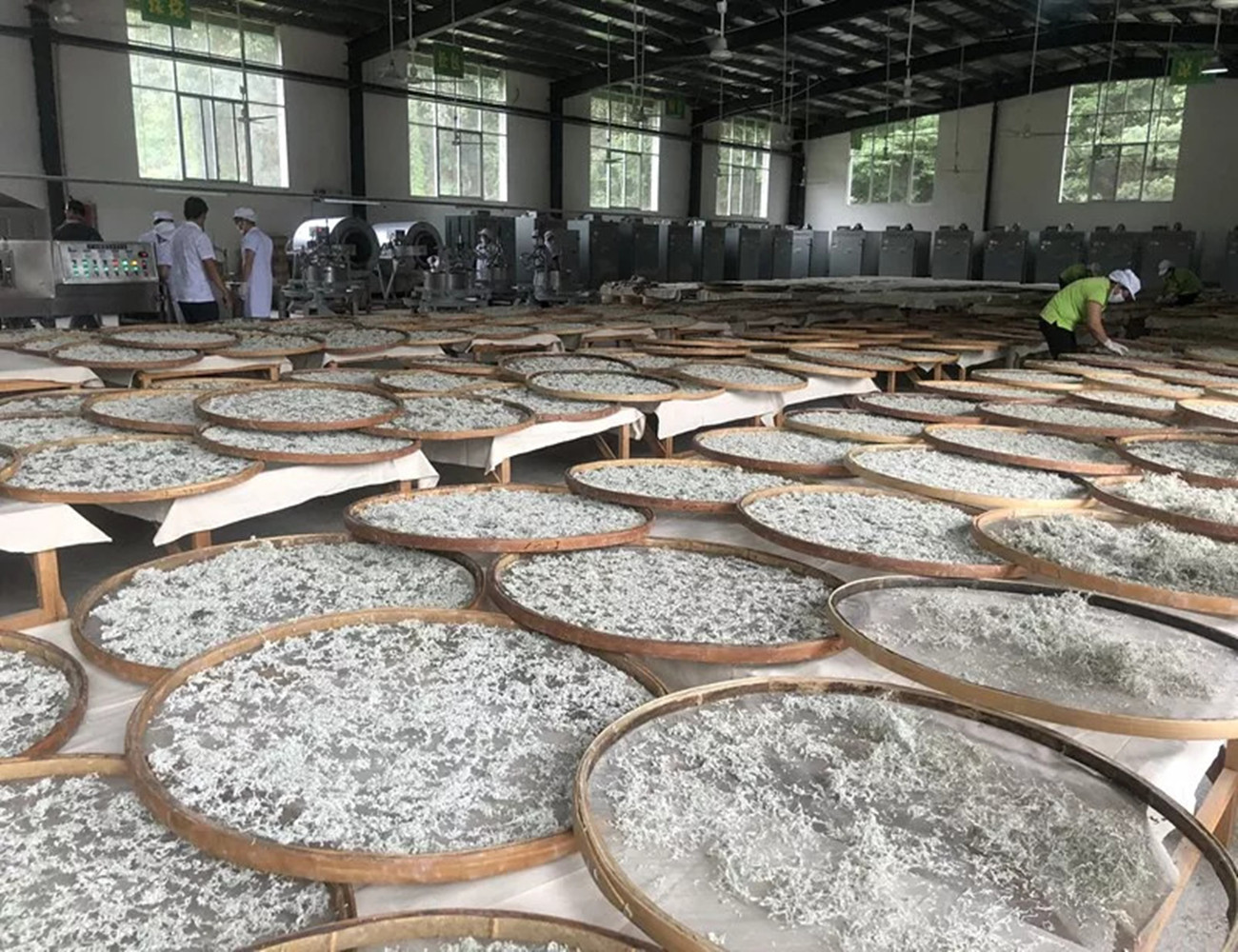 茅岩莓茶百科介绍,茅岩莓茶古法