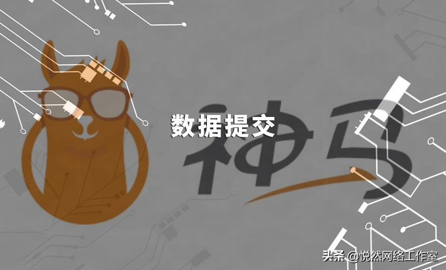 悦然建站分享：神马站长平台使用教程之数据提交