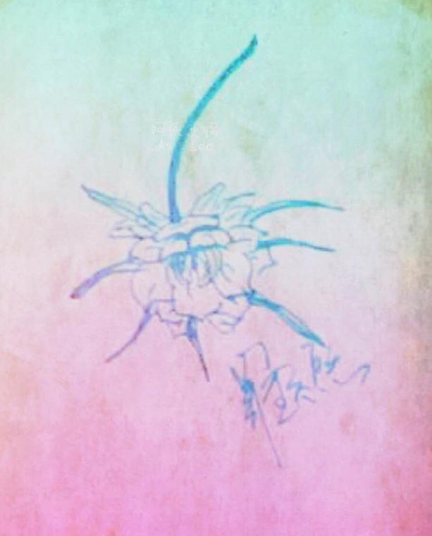 明星赵丽颖画的画,罗云熙赵丽颖画骨