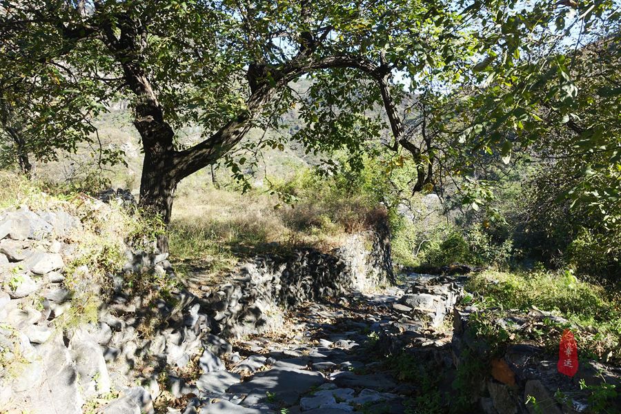 东北野生山核桃馅糖三角,红糖花生芝麻核桃做糖饼