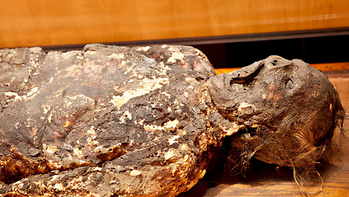 爱因斯坦的大脑在哪个博物馆,爱因斯坦的大脑为科学奉献一生