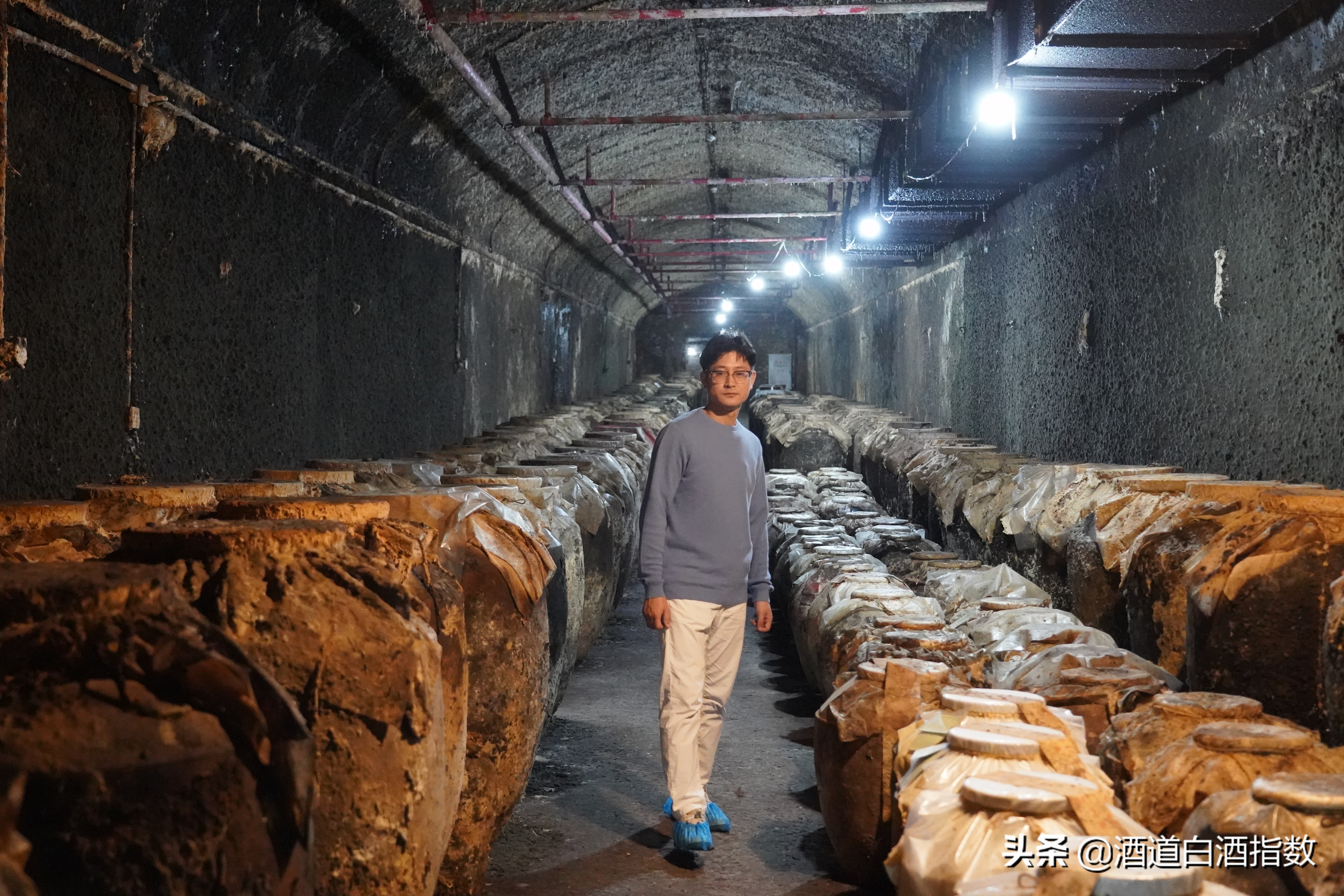 探索深藏闹市的百亿酒窖揭开清朝老酒神秘面纱——袁曦藏老酒会馆
