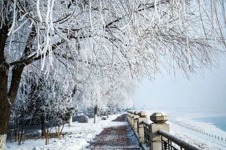 人生就像养多肉一样,人生如同养多肉时间不会怠慢