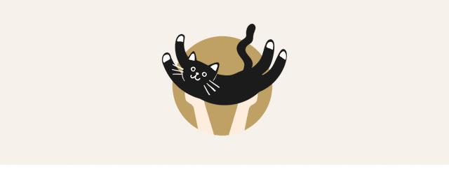 养猫这么多年你怎么连碗都摆不对 (养猫省钱妙招猫碗)