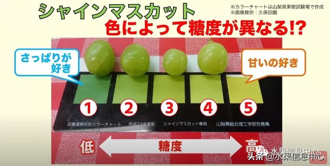 日本水果店怎么挑选,正宗日本水果店