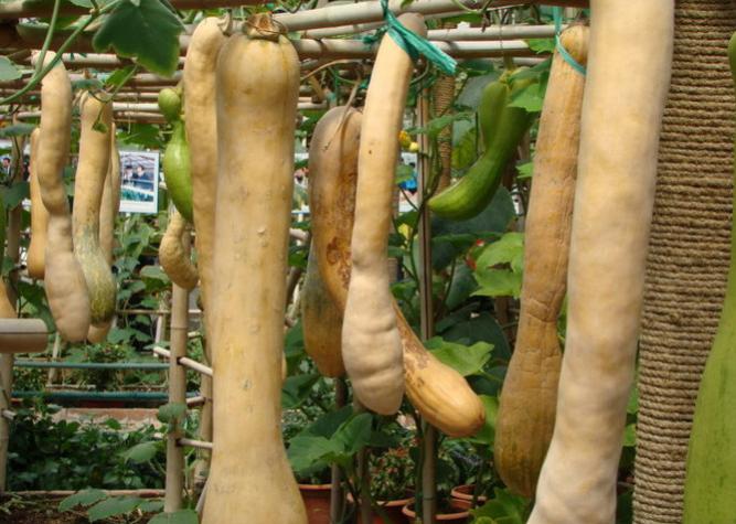 珠海市金湾区十大旅游景点,珠海市南水镇有哪些旅游景点