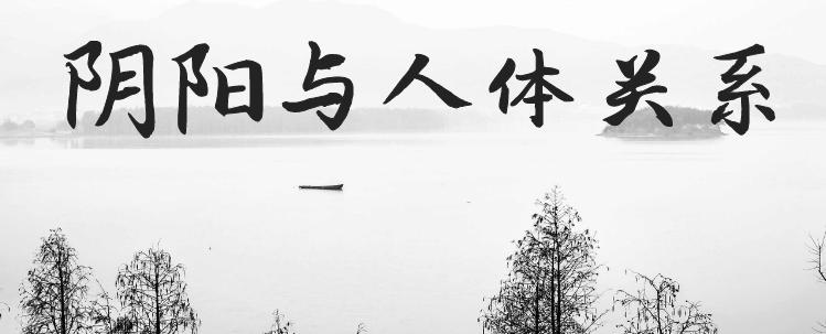 中医怎么调理外阴白斑,中医认为外阴白斑是怎么引起的