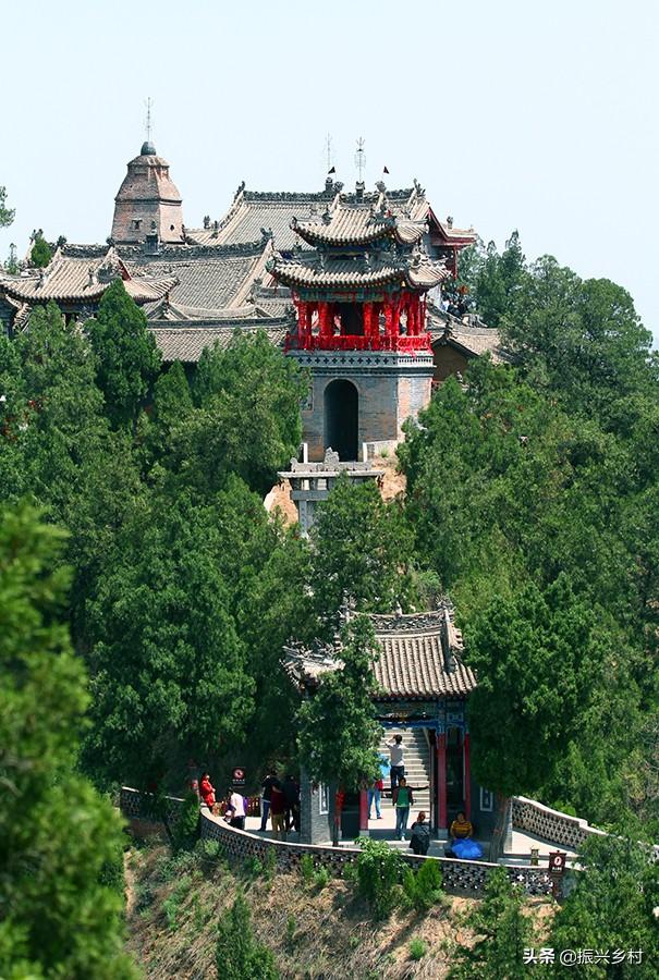 冬天来合阳，赏万顷芦荡，候鸟齐飞（组图）