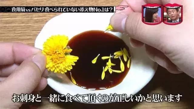 100岁长寿指南：人懒、有钱、吃花、不当官