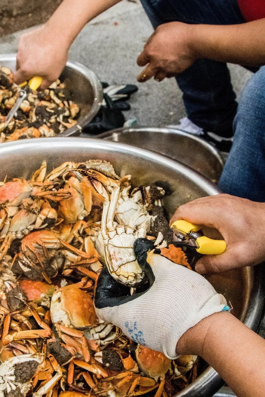 长长长长长白街，串起秦淮白下的爱恨情仇