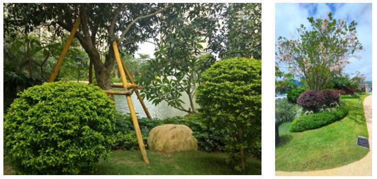 北海环境比较好的楼盘,北海哪个楼盘位置好