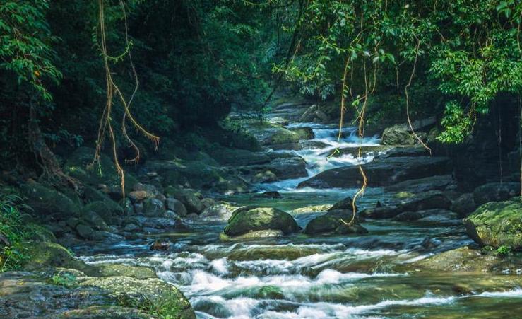 收藏备用常识100条,野外探索地理小知识