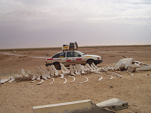 神秘小岛发现亚特兰蒂斯,最可能存在亚特兰蒂斯的地方