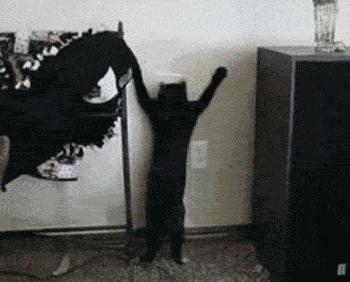 睡眠不好可以做光子嫩肤,前一天晒太阳了还能做光子嫩肤吗